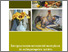 [thumbnail of 1.pdf]