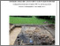 [thumbnail of 1.pdf]
