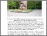 [thumbnail of 1.pdf]